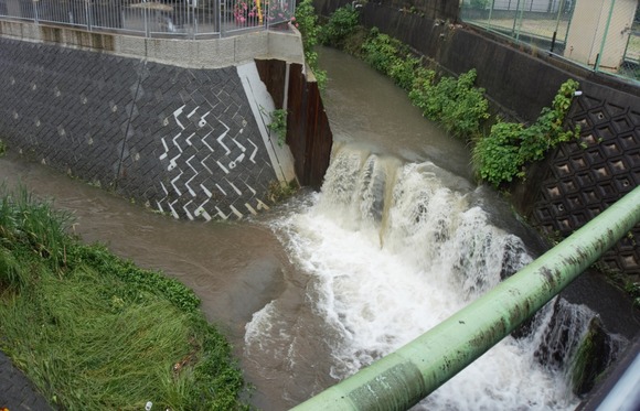 交野市駅前の川が増水してる。交野市は12時時点で大雨・雷・強風・洪水注意報が発表中