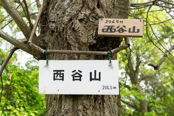 日高山の登山 2024041717