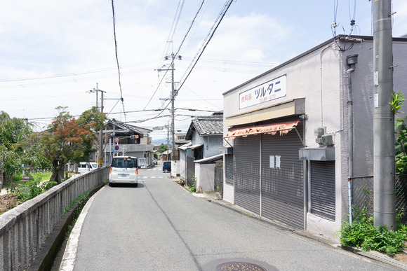 ツルタニ 20240725-3