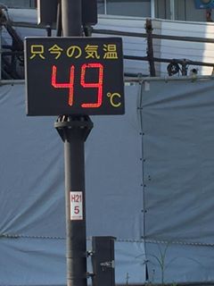 13892053_660272850788561_208121930693504908_n