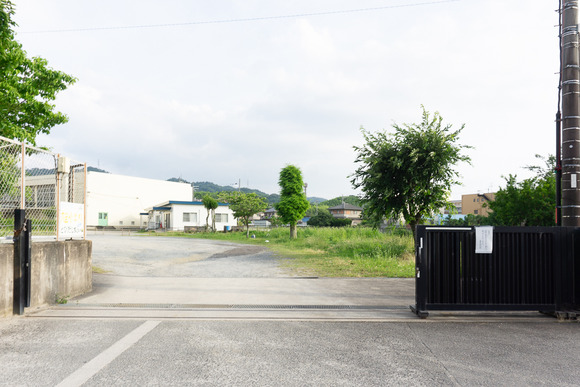 旭小学校 20250622-4