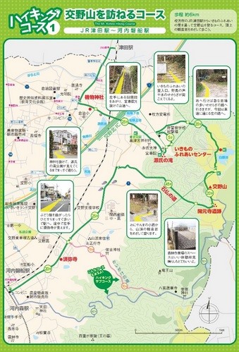 ハイキングコース