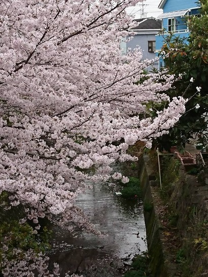 17862628_822848327867387_1351879663025180487_n