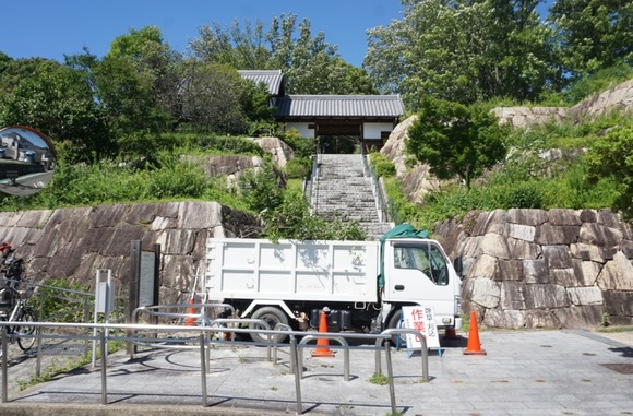 星田公園 20240705-1