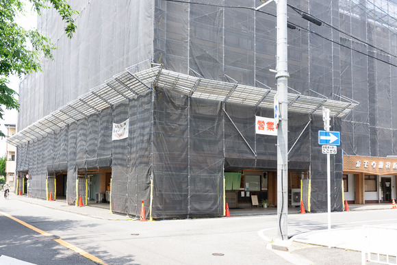 松塚のツバメ 202405241