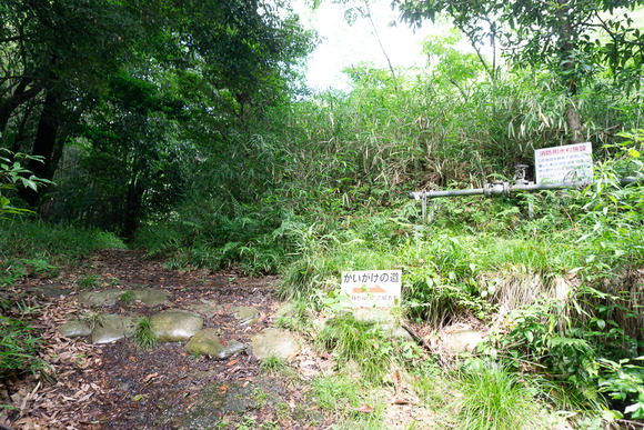 龍王山 2024062118