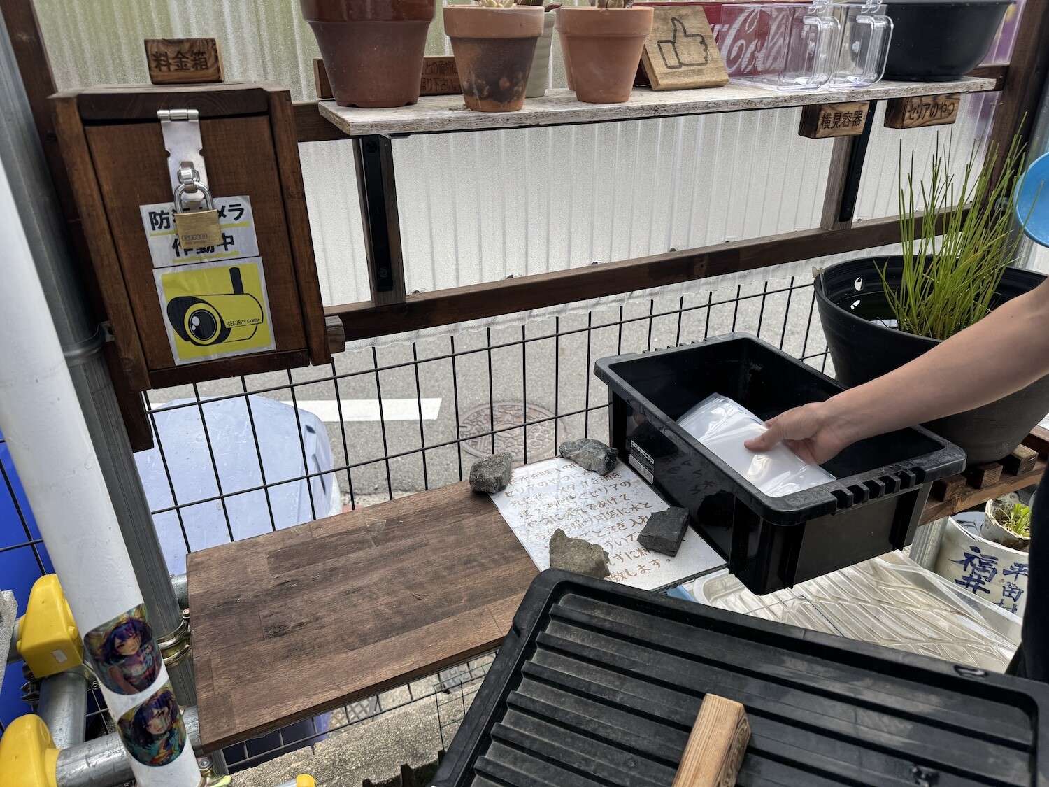 東倉治に「めだかの隠れ里」っていうメダカの無人販売所がある