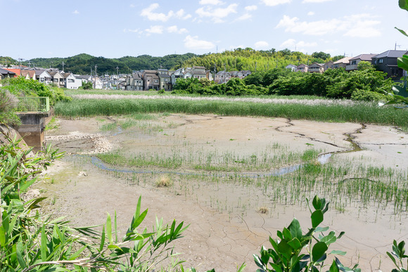 全権堂池 202406053