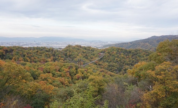 星のブランコ 20251124-3