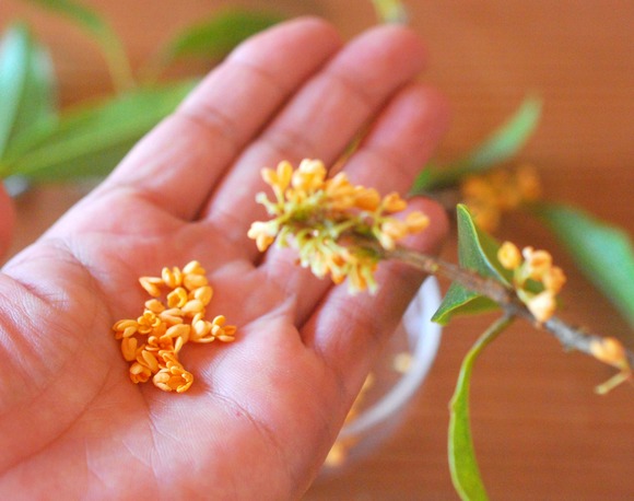 251633126_579101369828728_1953655902503048064_n