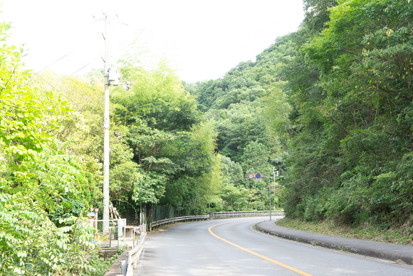 私市のカーブ 20240812-4