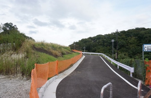 南星台 崖 20251018-3