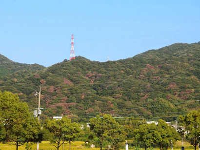 P9282786