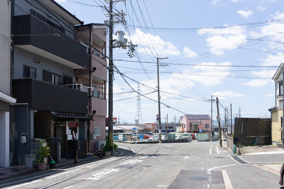 いっごそう 202406101