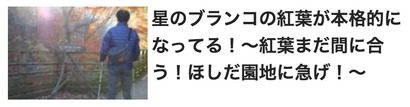 12月の様子