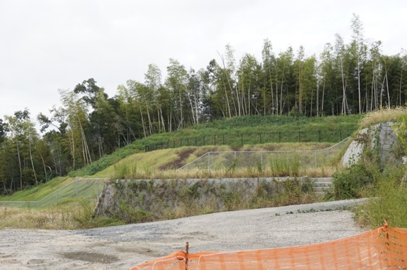 南星台 崖 20251018-2