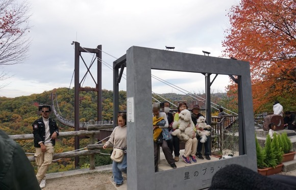 星のブランコ 20251124-14