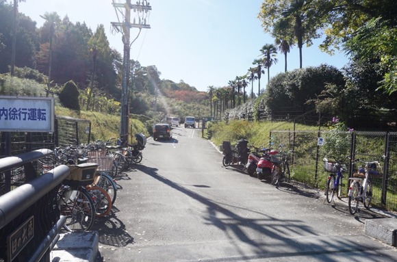 大阪公立大学附属植物園 20251118-4