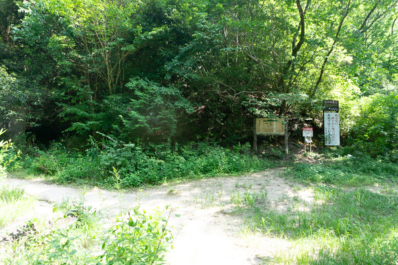 月の輪滝 20240719-14