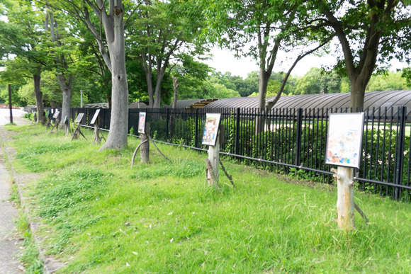 寝屋川公園 20250615-32