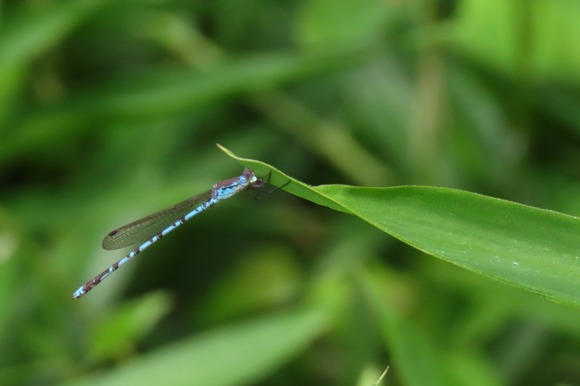 LINE_ALBUM_220616_35