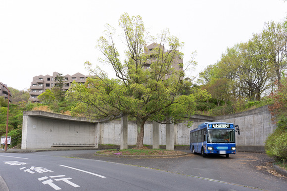 コモンシティ星田 おりひめバス 20250412-2