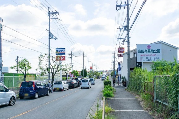 サンディ 20240912-2