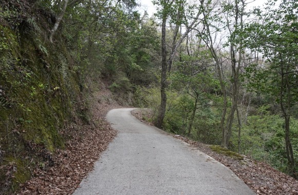 ほしだ園地 2024040931