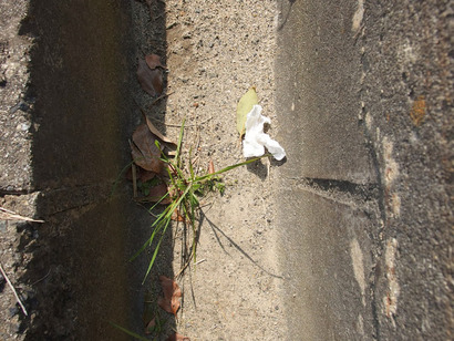 P3098851