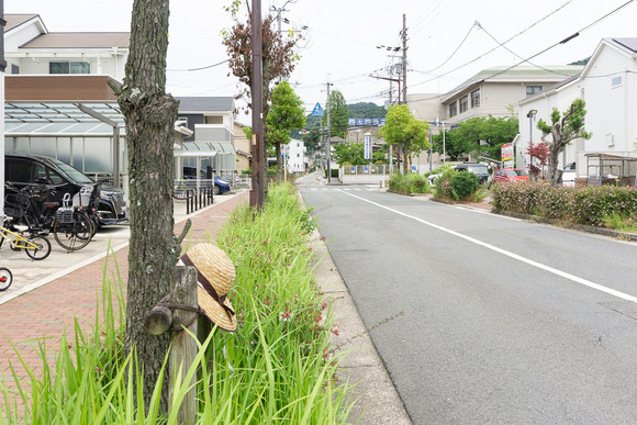 森南の麦わら帽子 202406243