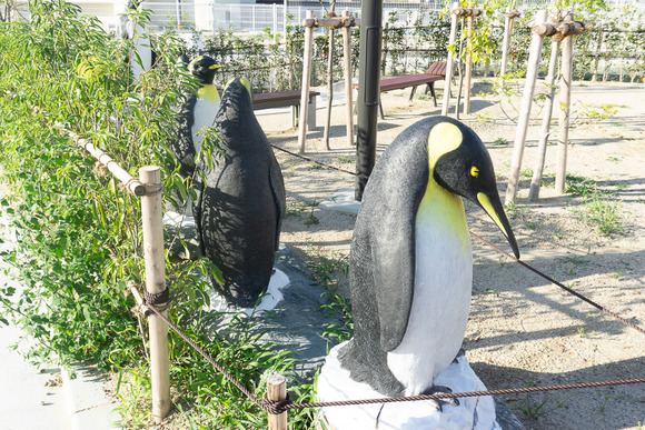 アーバンリトリート星田 20250719-7