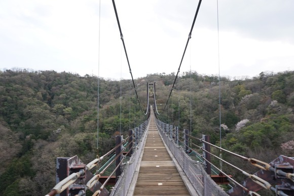 ほしだ園地 2024040951