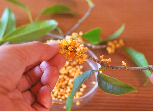 251021199_1298851920574037_6131479257642594186_n