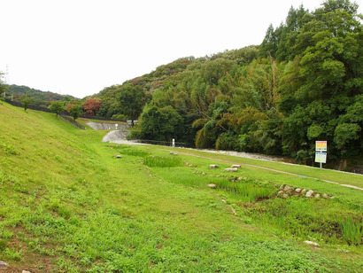 P8090626
