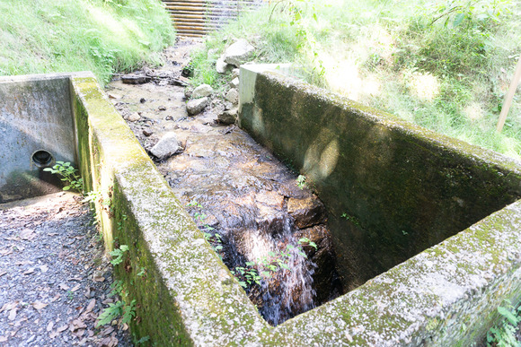 月の輪滝 20240719-11