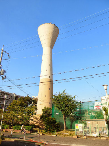 P9193491
