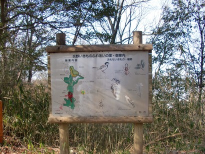 CIMG0505