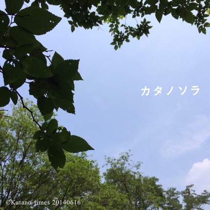 2014-06-15-16-05-13