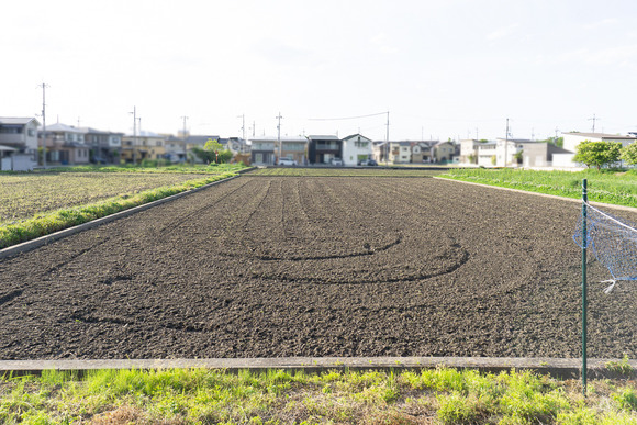 私市の田んぼ 20250508-8