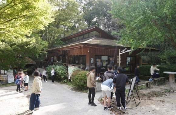 ほしだカップ 20241020-15