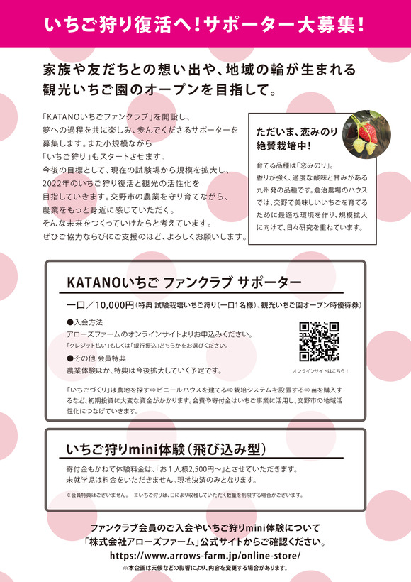 katanoいちごA4【決定版】-2
