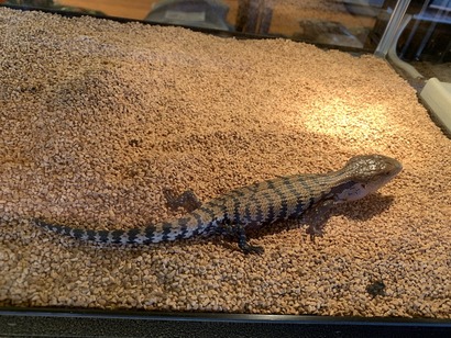 A80DC0F8-D1AC-4E49-BA3A-EF848F2B1B71_1_105_c