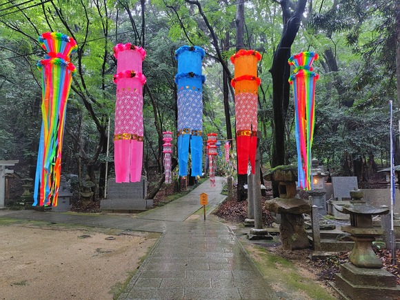 星田妙見宮 七夕祭り 20260705-25