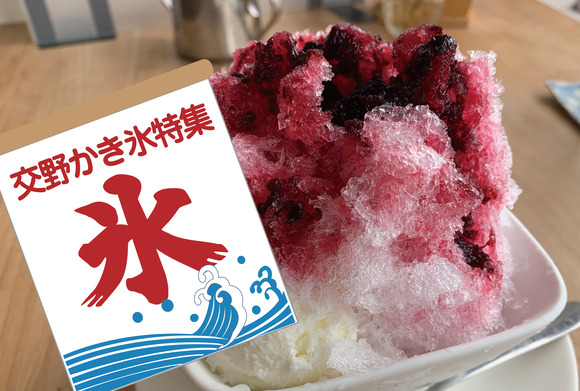 夏だ 交野かき氷特集 郡津のカフェminaのかき氷 交野産無農薬のブルーベリーを使っていて 地元の味 交野タイムズ