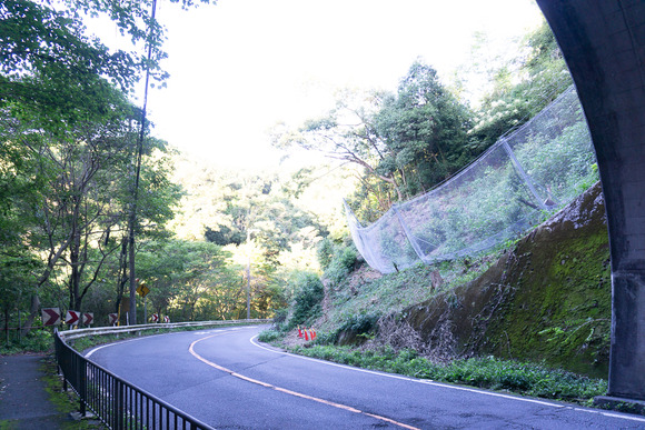 磐船トンネル横の崖 20240919-1