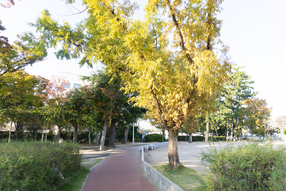 松塚公園 20241114-27