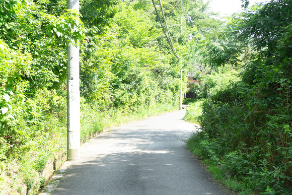 月の輪滝 20240719-3