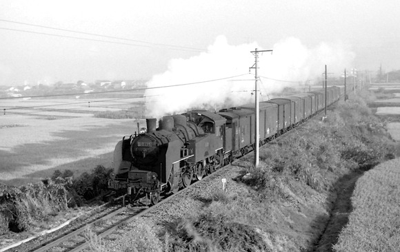 241707312_561678674882688_4013405442676405876_n