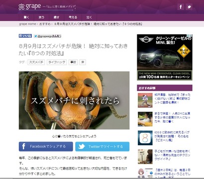 スズメバチ対処方法