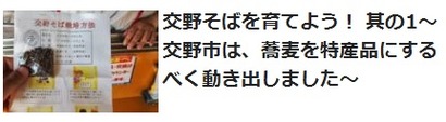そば栽培日記